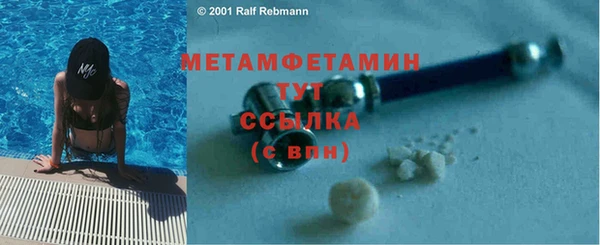 дмт Богданович