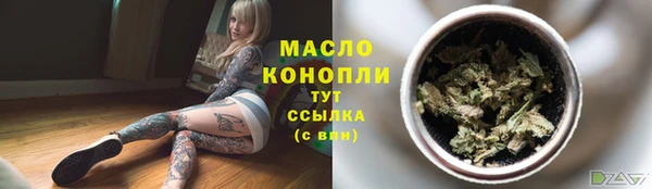 дмт Богданович