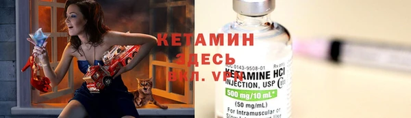 дмт Богданович