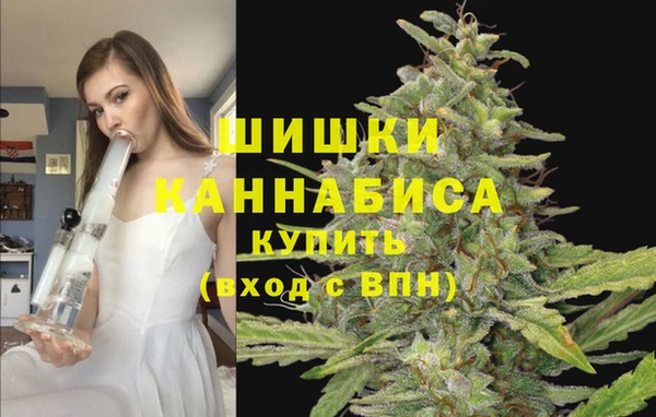 дмт Богданович