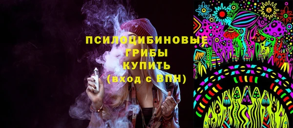 дмт Богданович