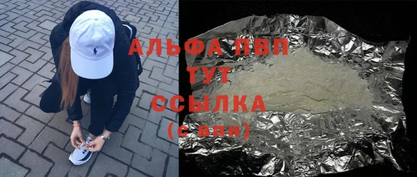 дмт Богданович