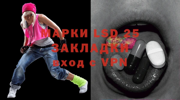 дмт Богданович