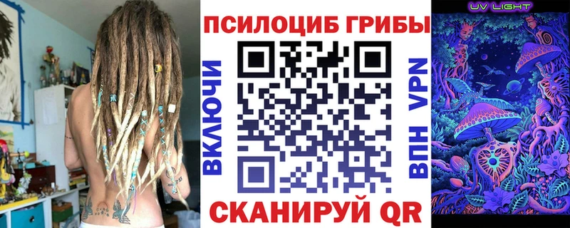 kraken ТОР  Волжск  Псилоцибиновые грибы ЛСД 