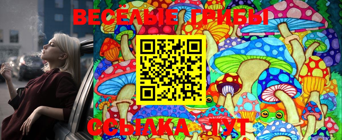 Псилоцибиновые грибы MAGIC MUSHROOMS Волжск