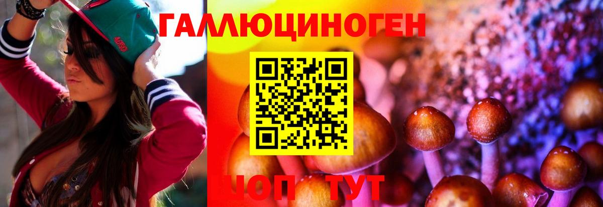 Псилоцибиновые грибы мицелий  Галлюциногенные грибы Psilocybe  Волжск  Вход с VPN 