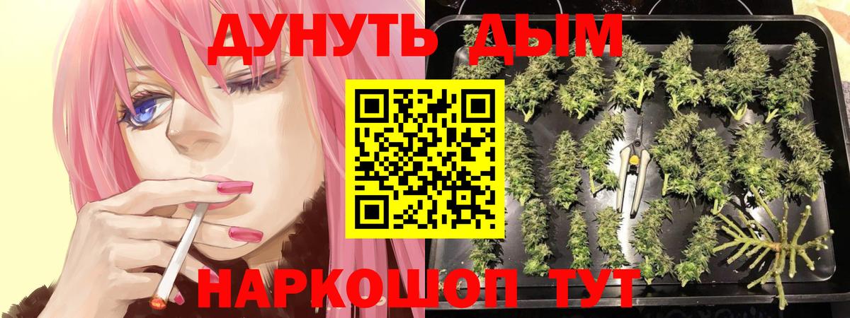 Канабис марихуана  Вход с VPN  Марихуана White Widow  МАРИХУАНА Amnesia  Волжск  Конопля Bruce Banner 